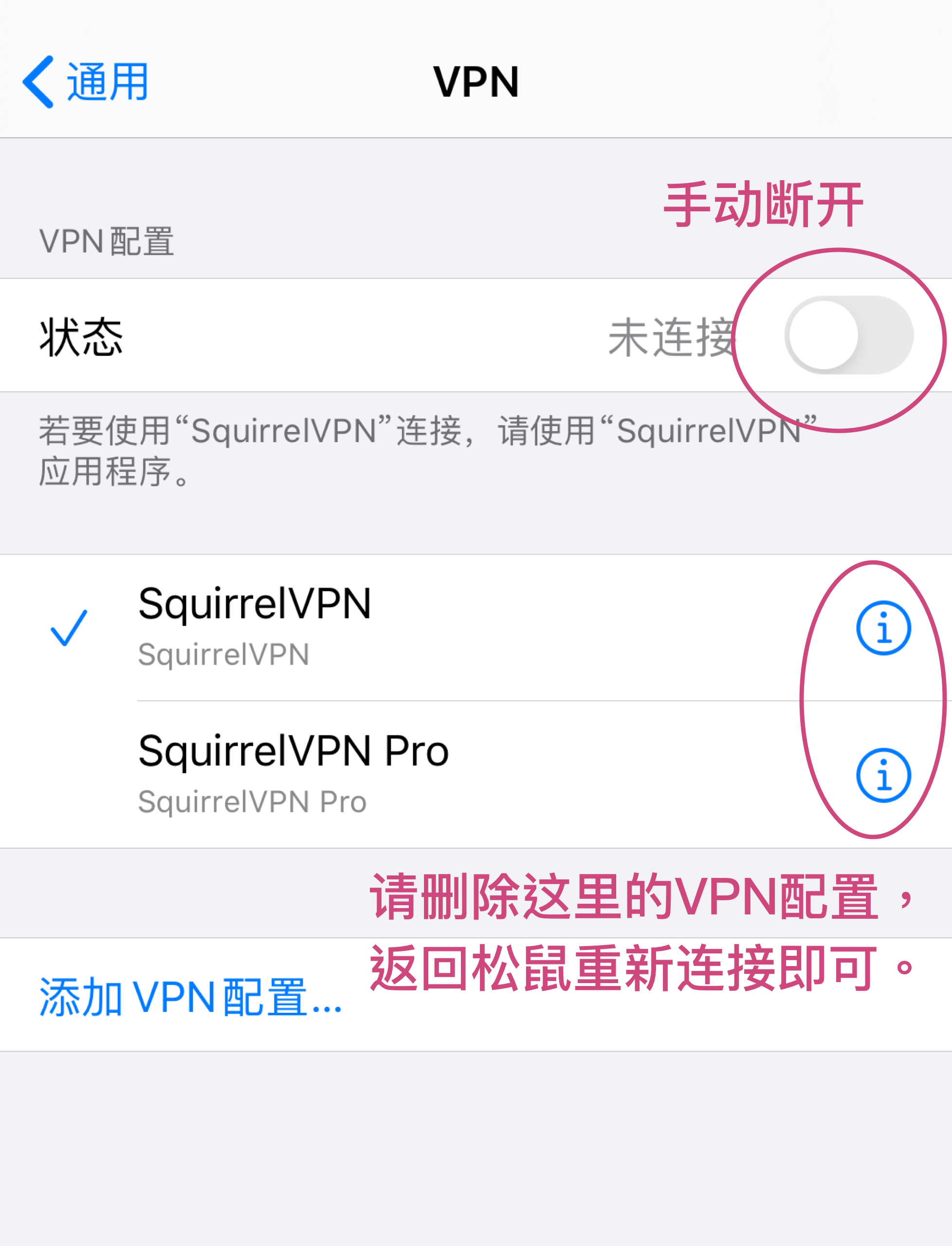 SquirrelVPN ios reset config